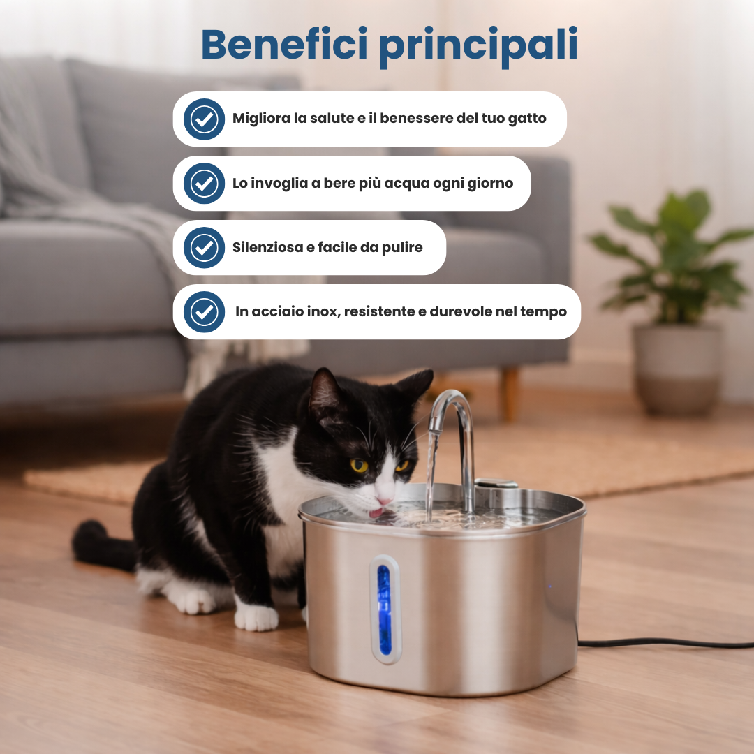 Proteggi il tuo pet da disidratazione e problemi urinari con PetFlow