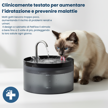 Proteggi il tuo pet da disidratazione e problemi urinari con PetFlow