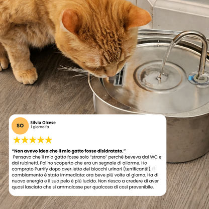 Proteggi il tuo pet da disidratazione e problemi urinari con PetFlow