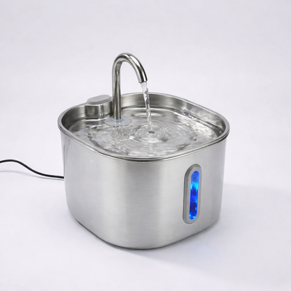 Proteggi il tuo pet da disidratazione e problemi urinari con PetFlow