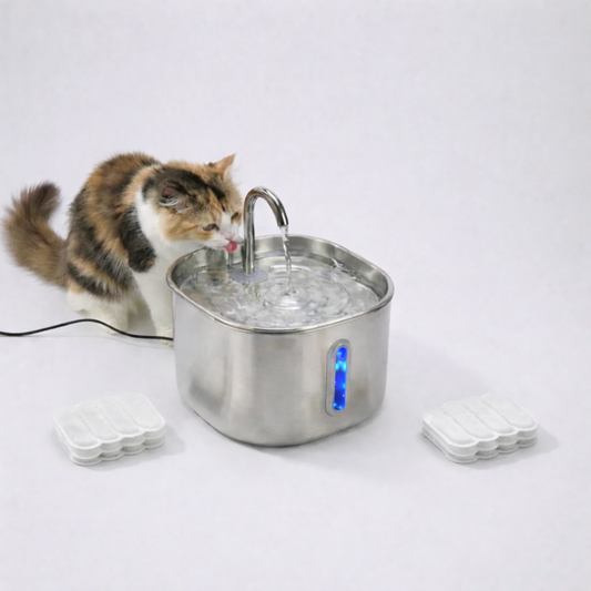 Proteggi il tuo pet da disidratazione e problemi urinari con PetFlow